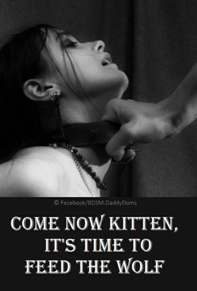 Bad Kitten.